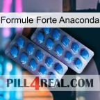 Anaconda Strong Formula viagra2